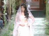 Chitrangada Singh Dazzled At Bridal Fashion Week - Bollywood Babes