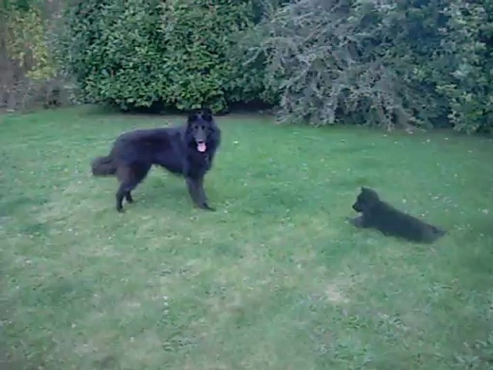 13 septembre 2012 : Echo & Hermine