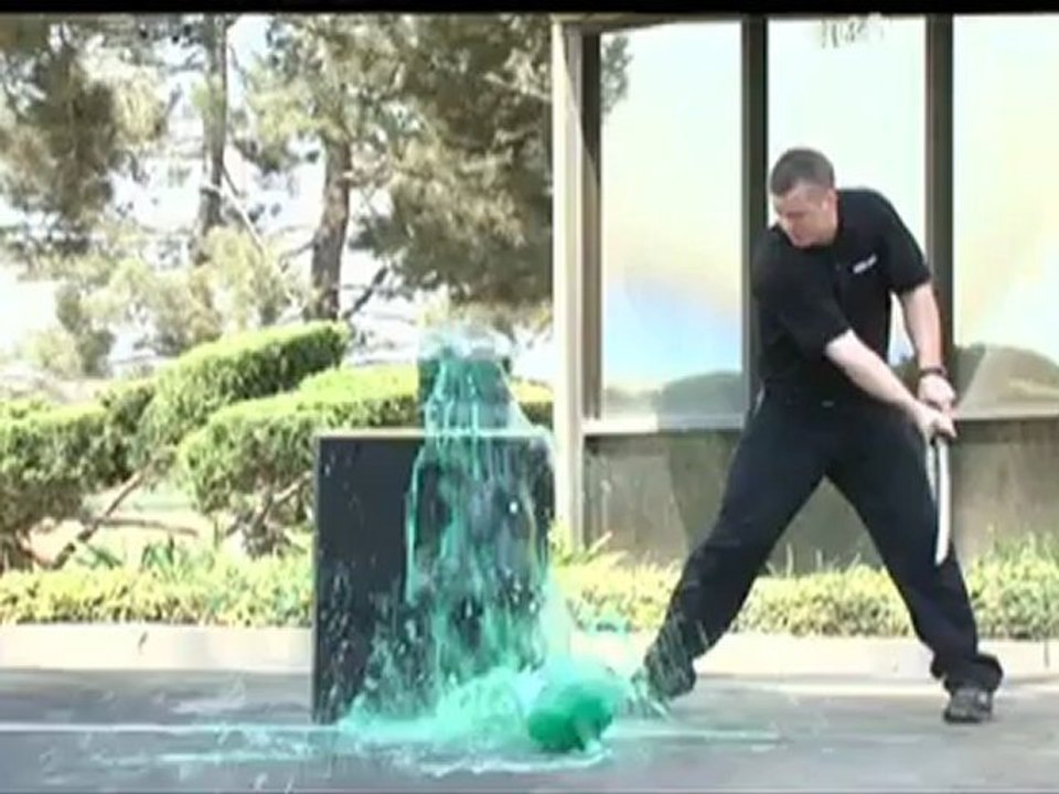 Dragonfly Wakazashi _ Cold Steel Swords