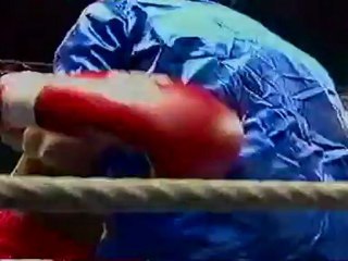 julien lorcy vs orlando otero