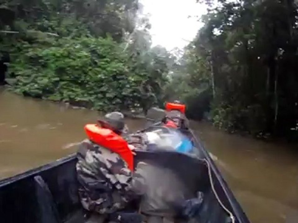 Le parc national amazonien de Guyane