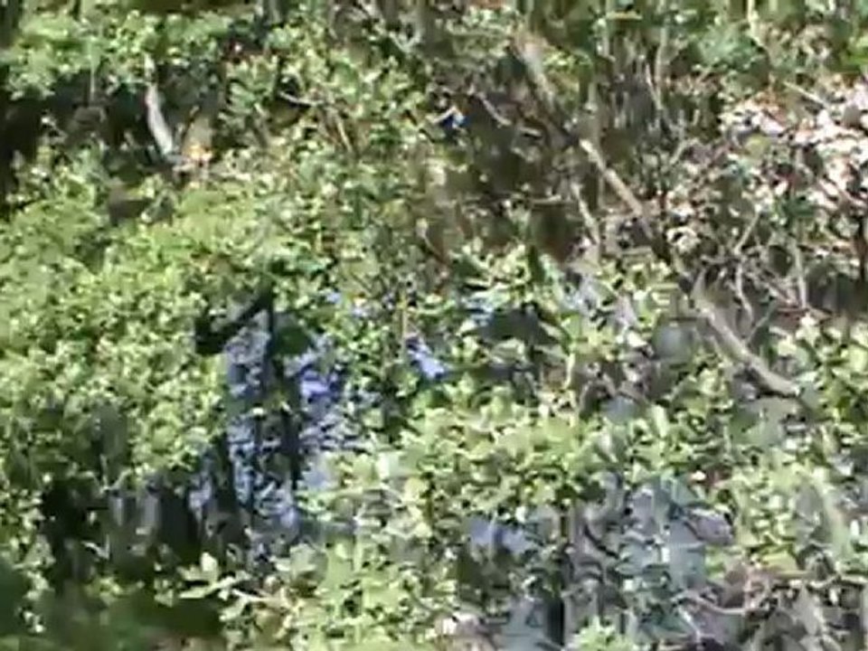 M2U00942