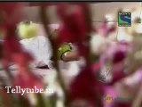 Honge Juda Na Hum - 13th September 2012 Part 4