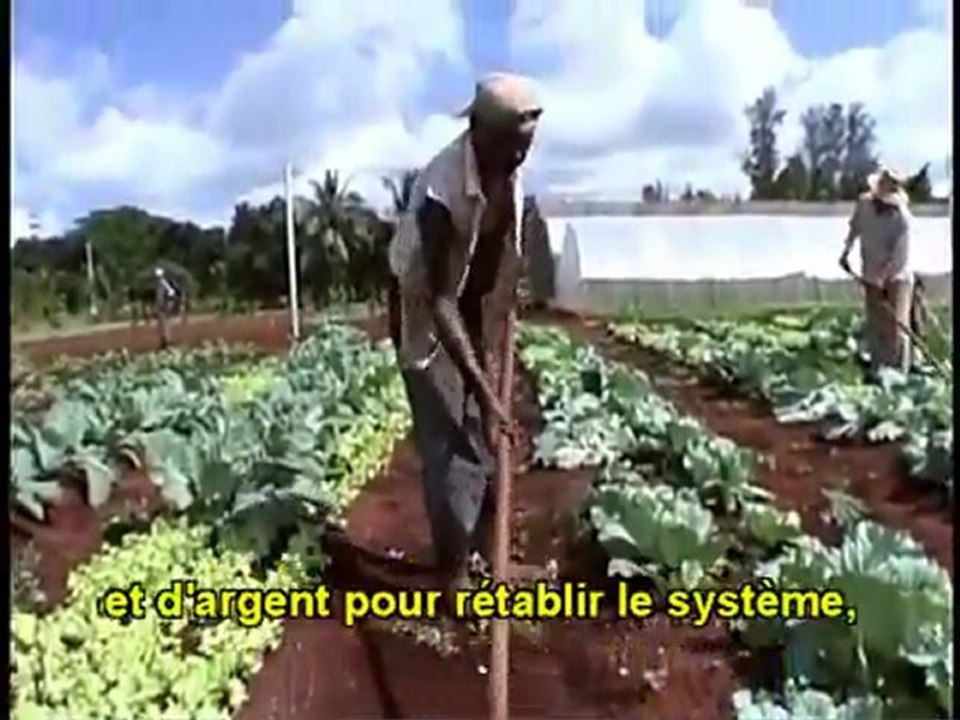 vivre sans pétrole l'exemple de Cuba
