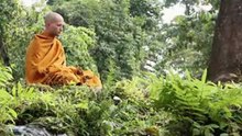 yuttadhammo usa monk