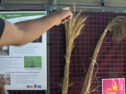 Des pâtes bio, 100 % Hautes-Pyrénées