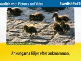 Learn Swedish with Pictures and Video - 5 Must-Know Swedish Words 1