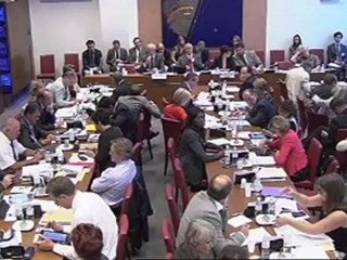 Intervention en commission : emploi d'avenir Fanélie Carrey-Conte