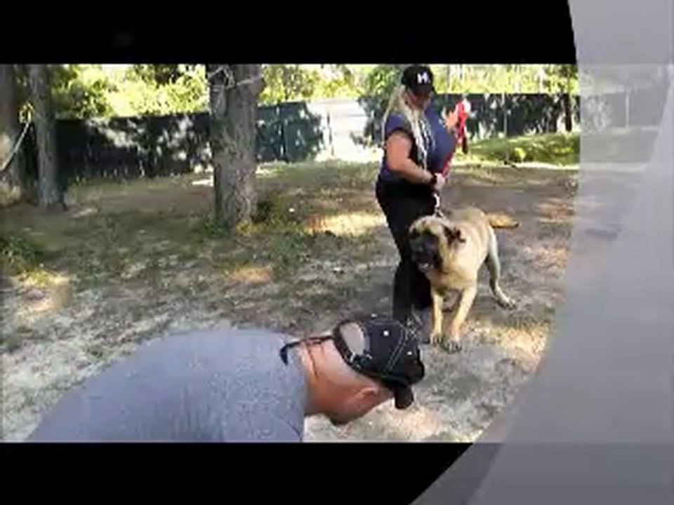 HADES 1ST TRAINING