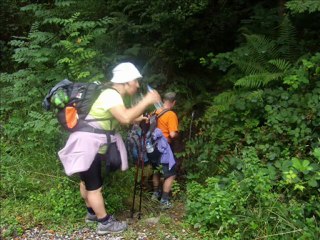 CAMINO SANTIAGO 2012