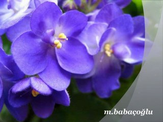 [ Gülay - Kendine İyi Bak ]