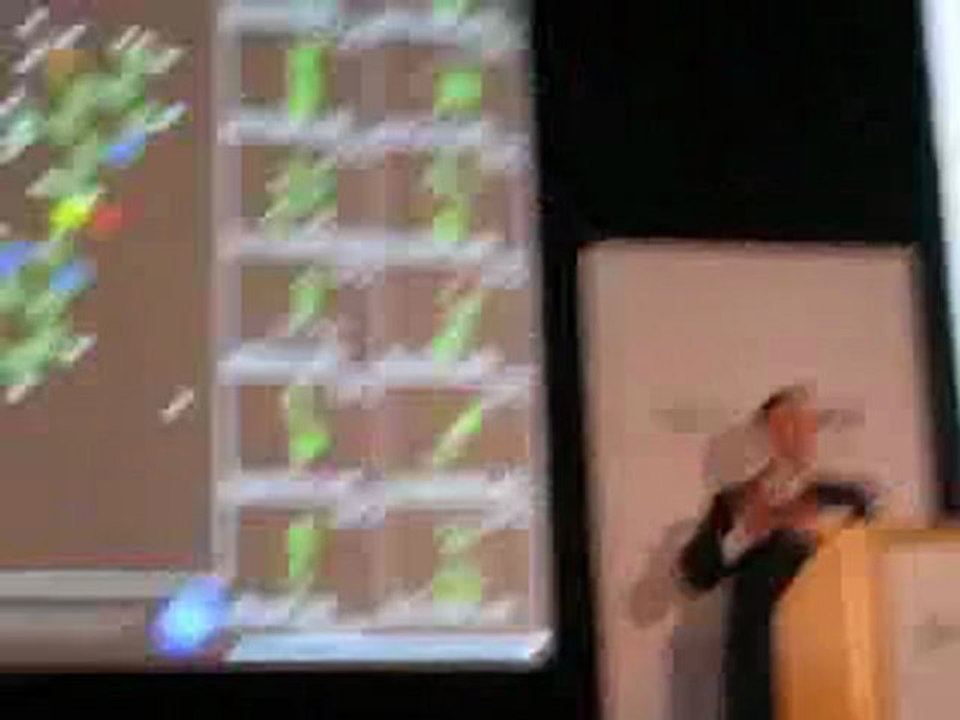 D-Wave Demo (2007)
