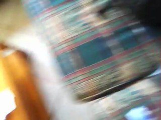 9-13-2012 : MY LIFE NOW THANKS TO NEW YORK CITY WHO PUSHED GOV'T OF SINGAPORE TO KICK ME OUT WITH TERROR MARK ON ME - 5