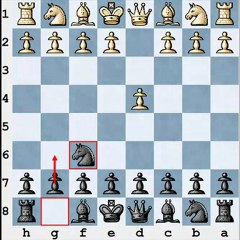 Proffesional Opening Preparation Free Chess Video Lesson