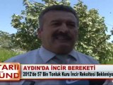 AYDIN’DA İNCİR BEREKETİ