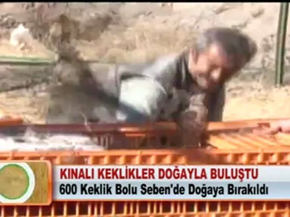 KINALI KEKLİKLER DOĞAYLA BULUŞTU