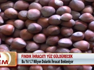 FINDIK İHRACATI YÜZ GÜLDÜRECEK
