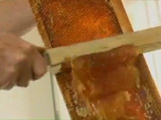 Mode d'emploi(s). Technicien de maintenance et apiculteur