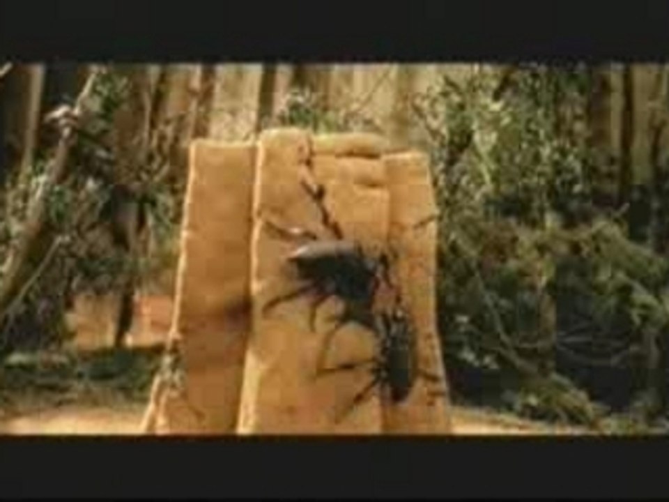 Rammstein - Links 2 3 4 (Video)