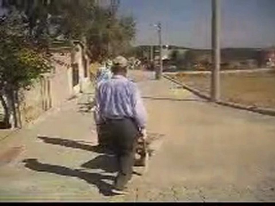 calismalar 1