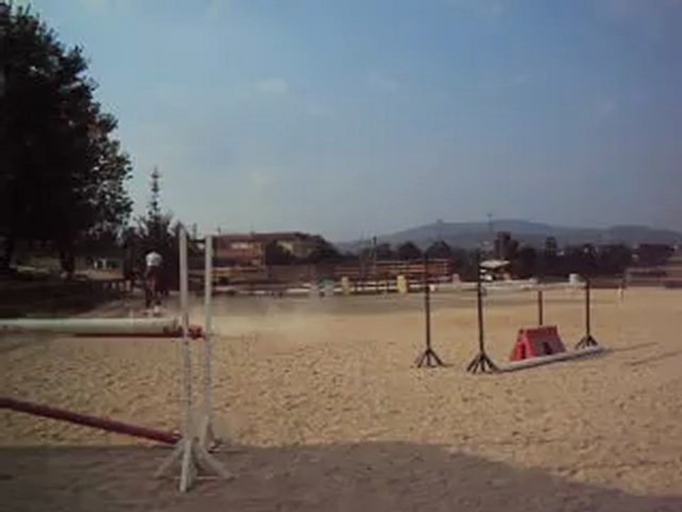 A vendre SF 6 ans CSO pret 6 ans A (parcours ligne 125)