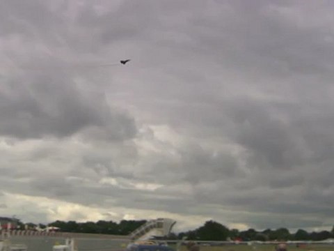 Démonstration aérienne du Rafale