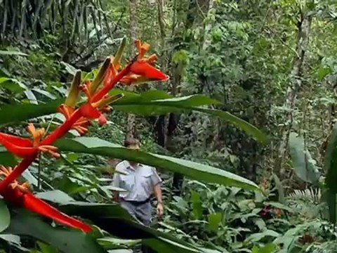 Le Journal de la Défense n°57 de juillet 2011