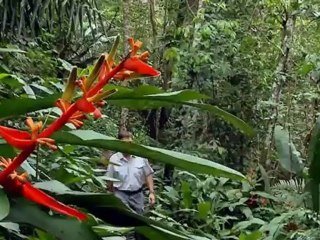 Le Journal de la Défense n°57 de juillet 2011