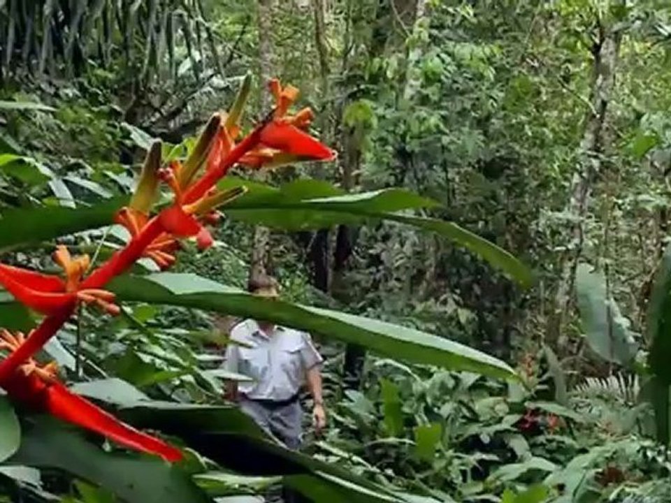 Le Journal de la Défense n°57 de juillet 2011