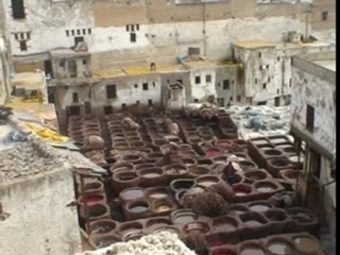 Les tanneries de Fès