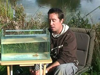 The KD or Separation carp rig explained in detail