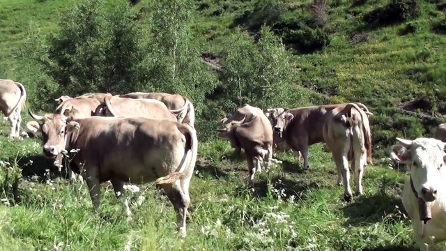 VACANCES 2012 - 28/06 - Bony de Trescul + Bony de la Costa