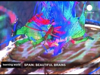 Cognition recognition in the learning process