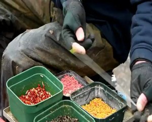 Norwich Town Centre bream fishing