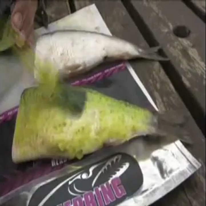 Mick Brown colouring deadbaits