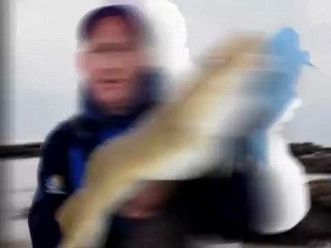 Richard Holgate's casting tips