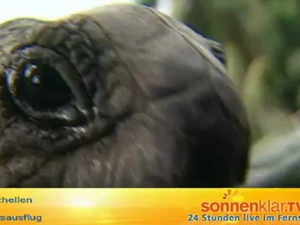 Tipp Seychellen - Bootsausflug