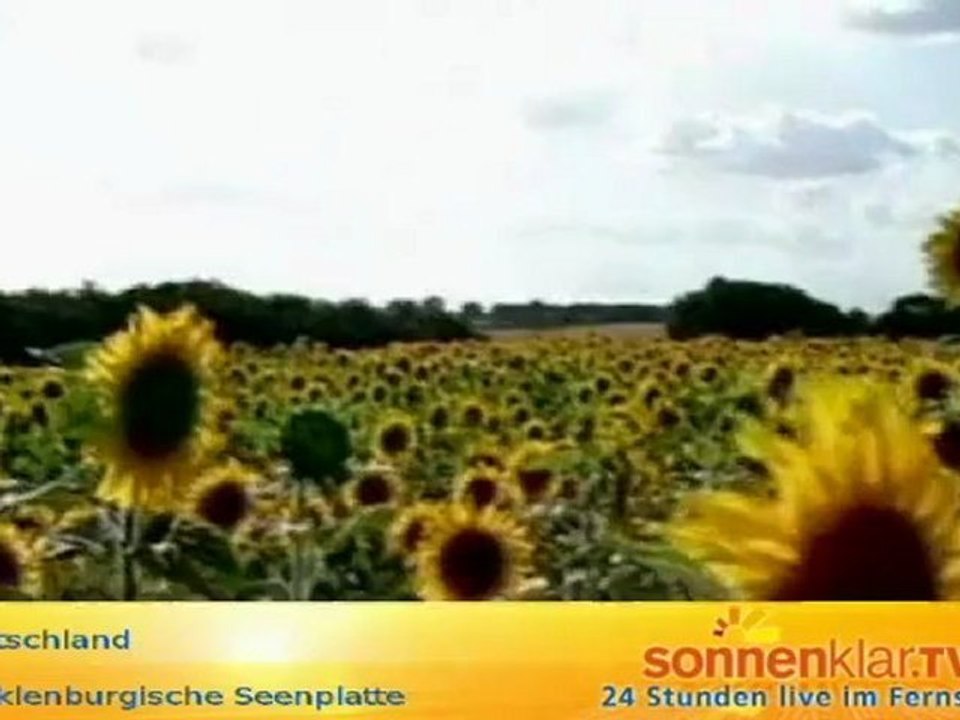 Mecklenburgische Seenplatte Sommer