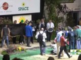 Space 2012 : Bounty Grande championne du Challenge France Prim'holstein