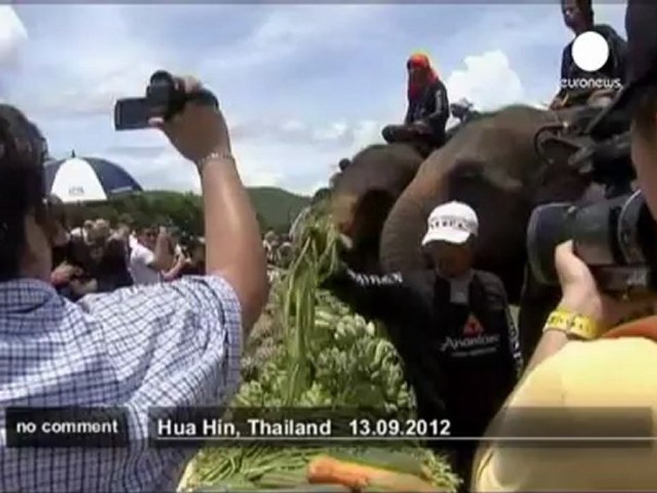 Polo à dos d'éléphant en Thaïlande - no comment