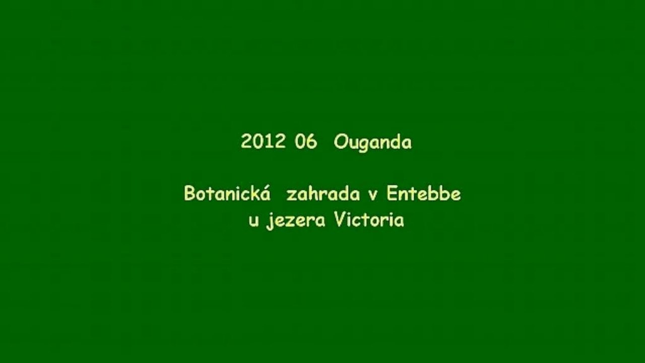 2012 06 Entebbe jardin + guesthouse et Rencontre avec villageois
