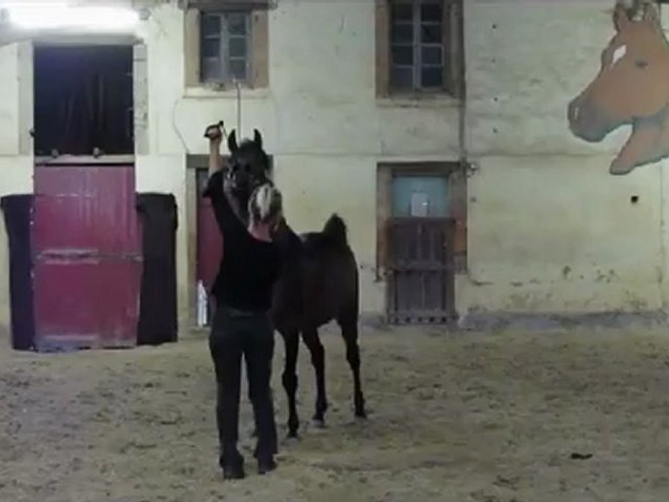 rafahag