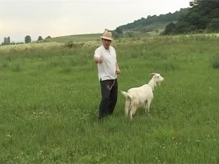 Varu Sandel - Capra vecinului