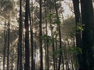 Modus Anomali - Trailer