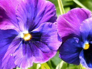 İsrafil BÜLBÜL (Yasin Suresi)