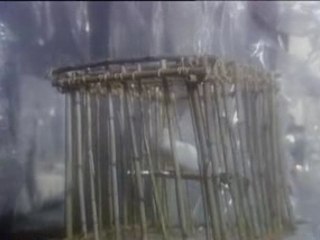 Olivia Newton John - Heart attack