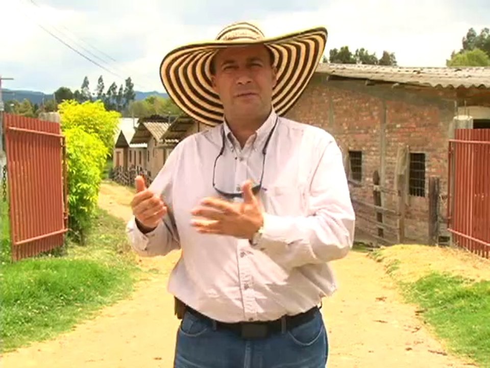 Cerdos 15 de Septiembre de 2012