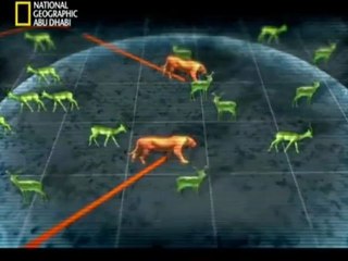 الفيلم الوثائقى القطيع الاسود