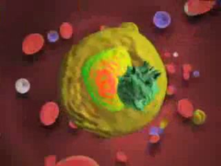 Rheumatoid Arthritis (Understanding Disease_ Orthopedics)