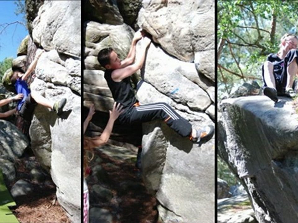 Fontainebleau 2012